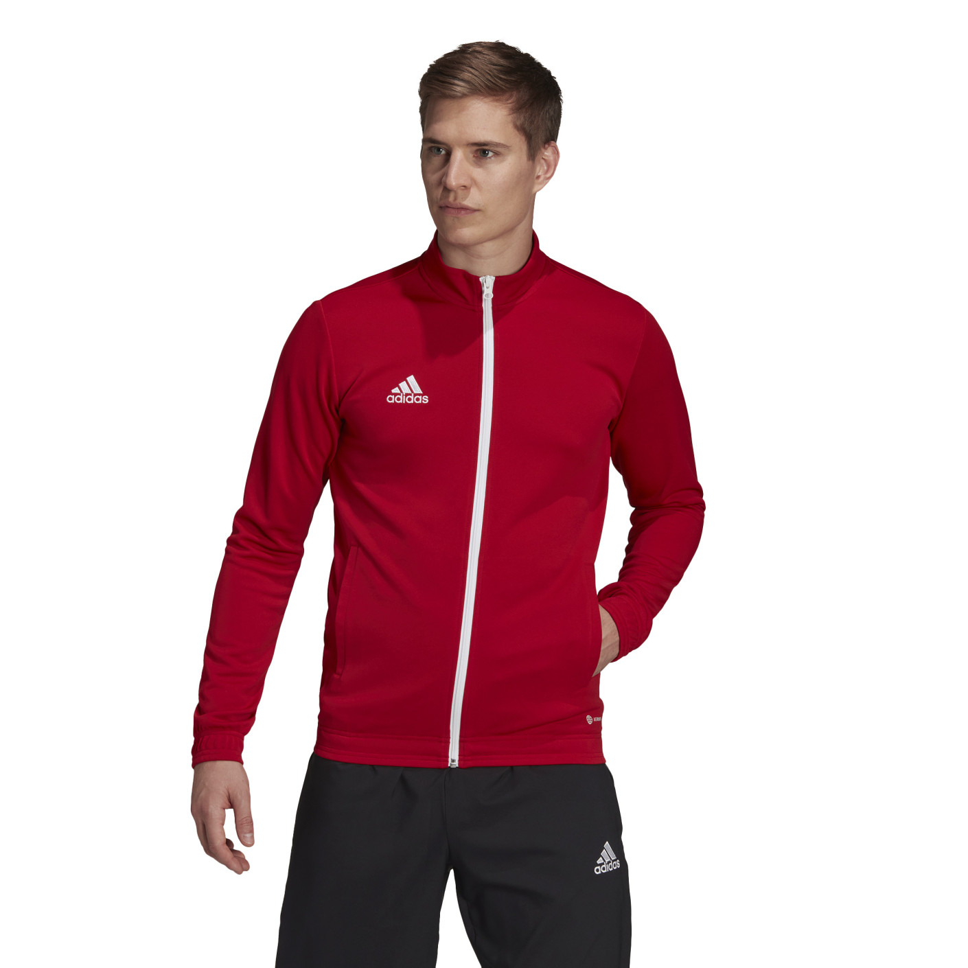 Adidas Entrada 22 Trainingsjack Rood Wit
