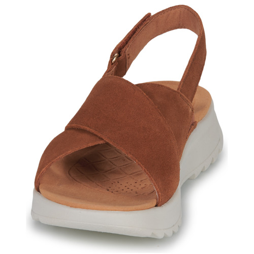 Clarks - DASHLITE WISH - Marron