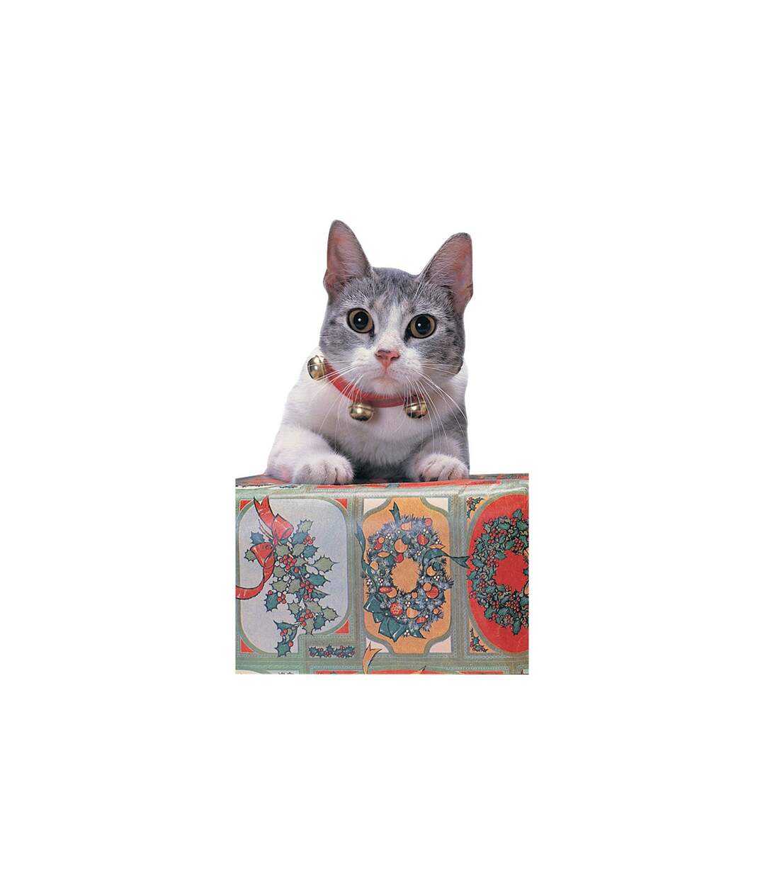 Rubies - Collier pour chat JINGLE (Rouge / Doré) (Taille unique) - UTBN4722
