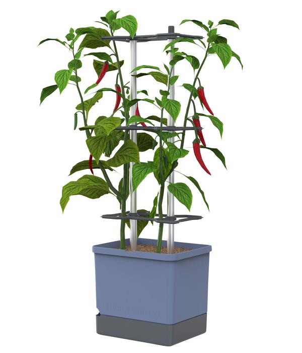 Gusta Garden Chili-Pflanztopf Charly Chili XL,