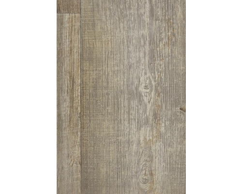 Terni PVC-vloer, houtplankenlook, gekalkt, FB591, 200 cm breed (per meter verkocht)