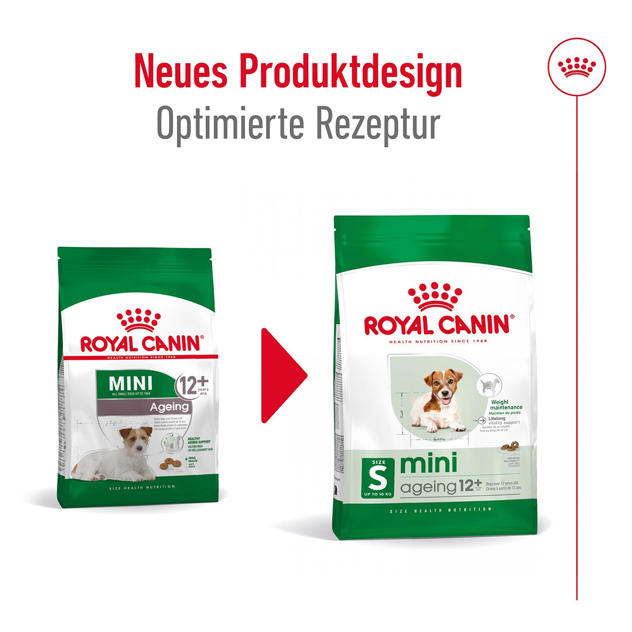 ROYAL CANIN Mini Ageing 12+ 1,5 kg
