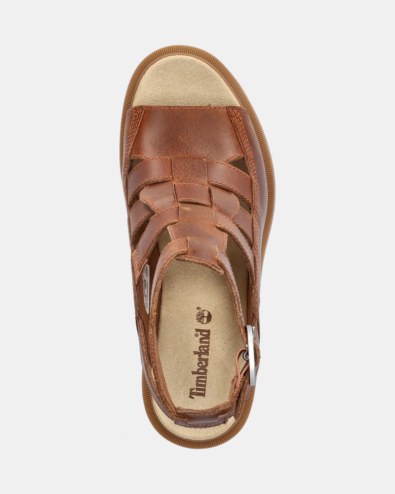 Timberland Allington Heights Sandalen  - bruin