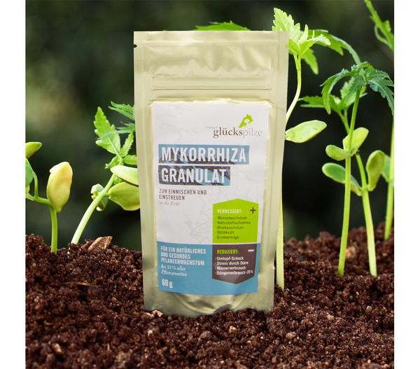 Mykorrhiza Granulat, 60 g