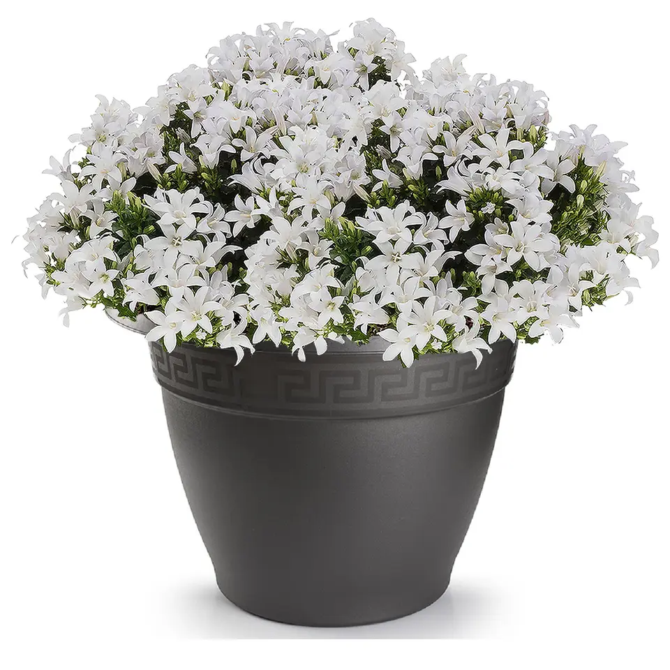 Forte Plastics Bloempot - antraciet - rond - kunststof - 60 cm