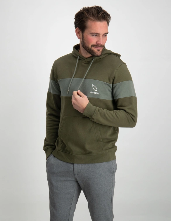 ONLY & SONS Hoodie Luke 22021694