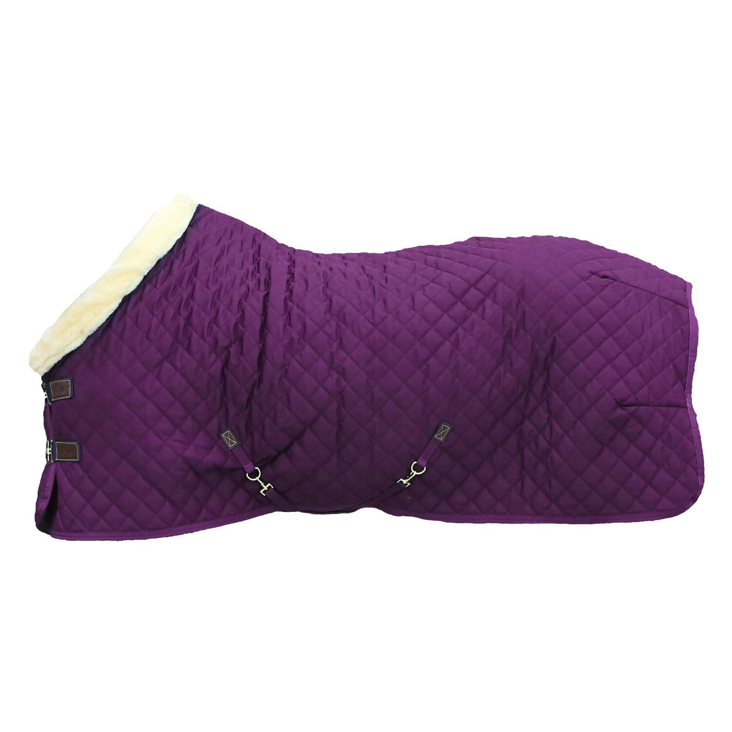 KENTUCKY Show Rug - purple royal