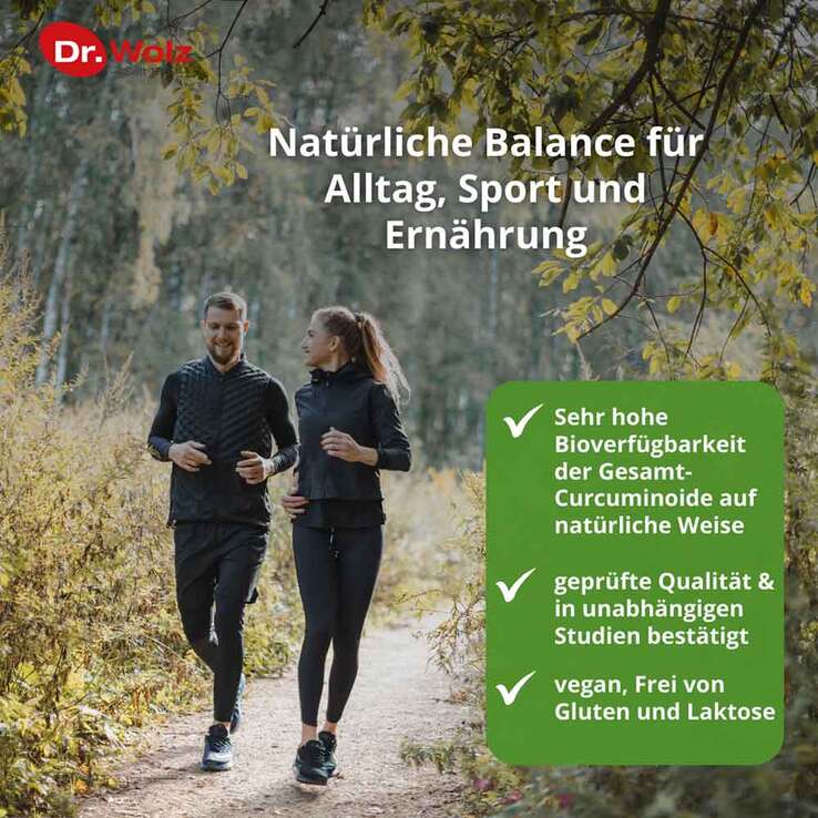 Curcumin Extrakt 45 Dr. Wolz Kapseln, 90 St