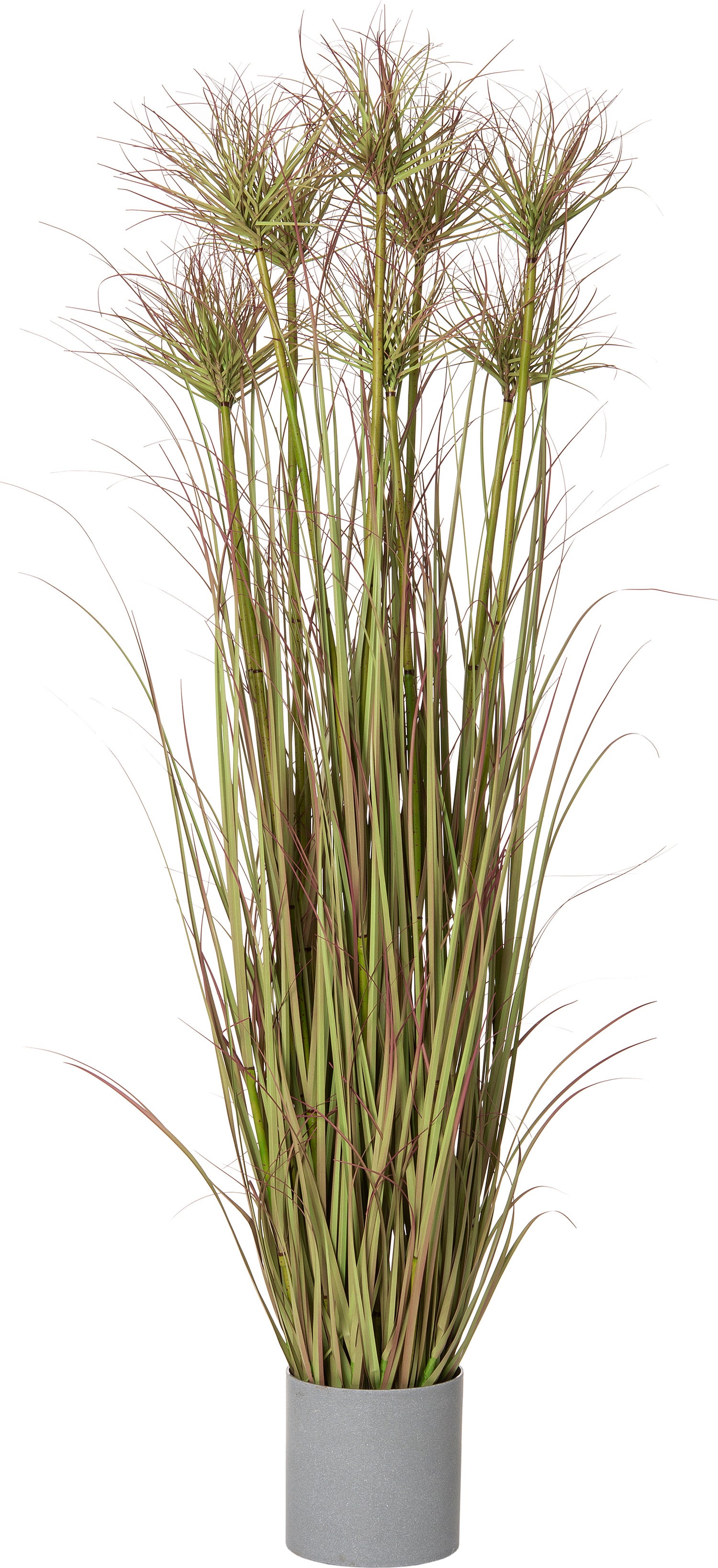 Intratuin kunstplant Papyrus D 40 H 140 cm