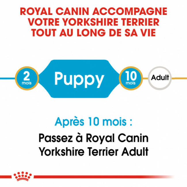 Croquettes Royal Canin Yorkshire Terrier Junior