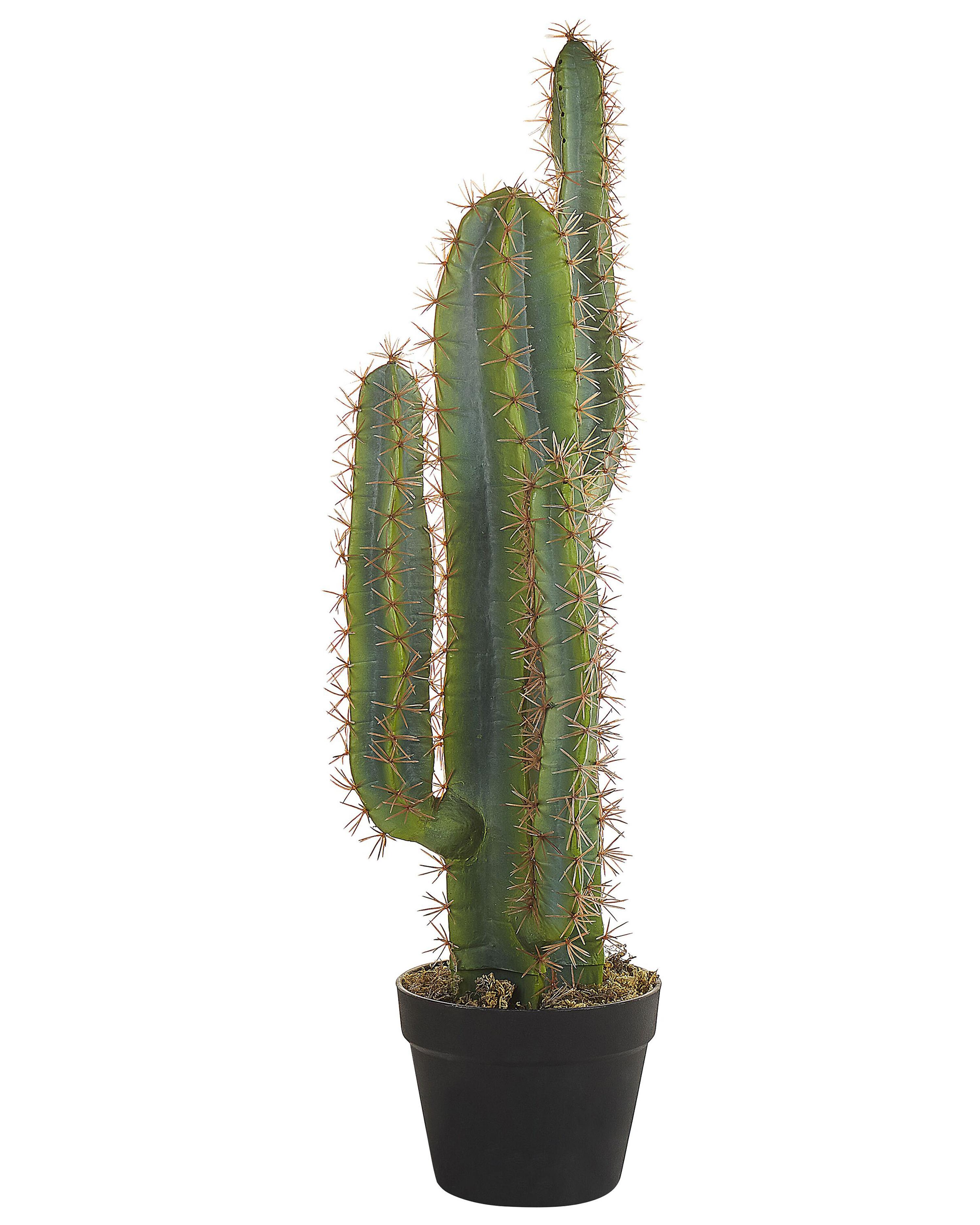 Kunstplant CACTUS 78 cm Groen