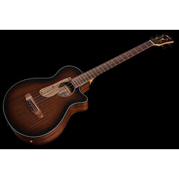 Ibanez AEGB24E-MHS