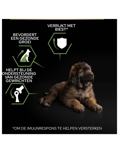 Pro Plan Dog Puppy Large Breed Robust Kip - Hondenvoer