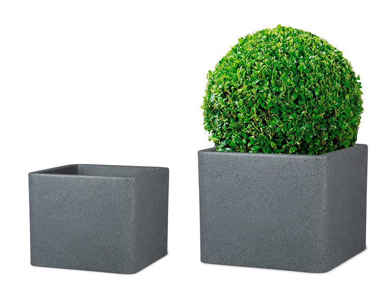 Plantenbak