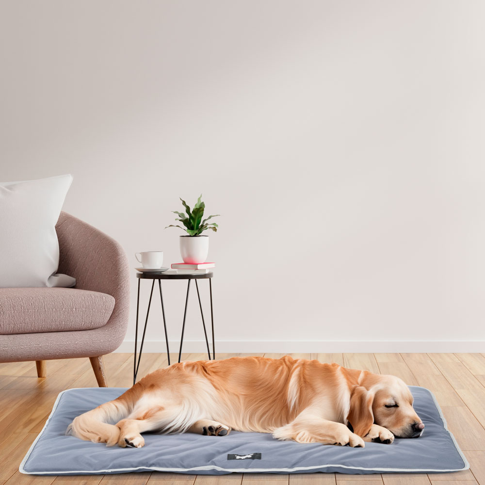 Ferplast panier pour chien chat - lit chien petit lavable - matelas chien - coussin chien chat - imperméable & anti-rayures -