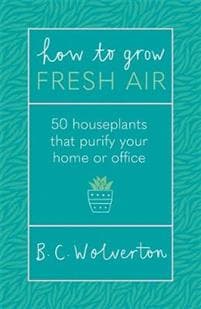 How To Grow Fresh Air