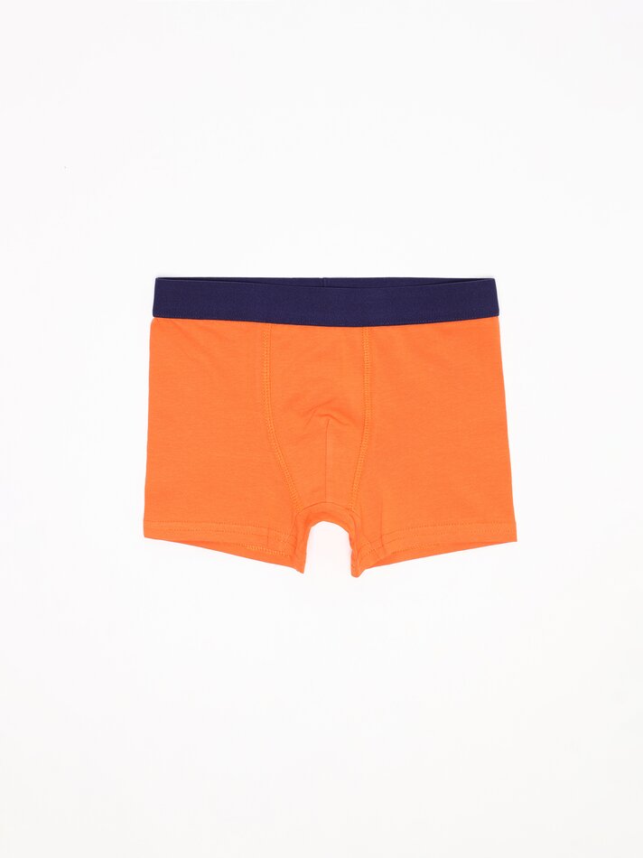 Pacote com 7 cuecas boxer estampadas - Cores Variadas