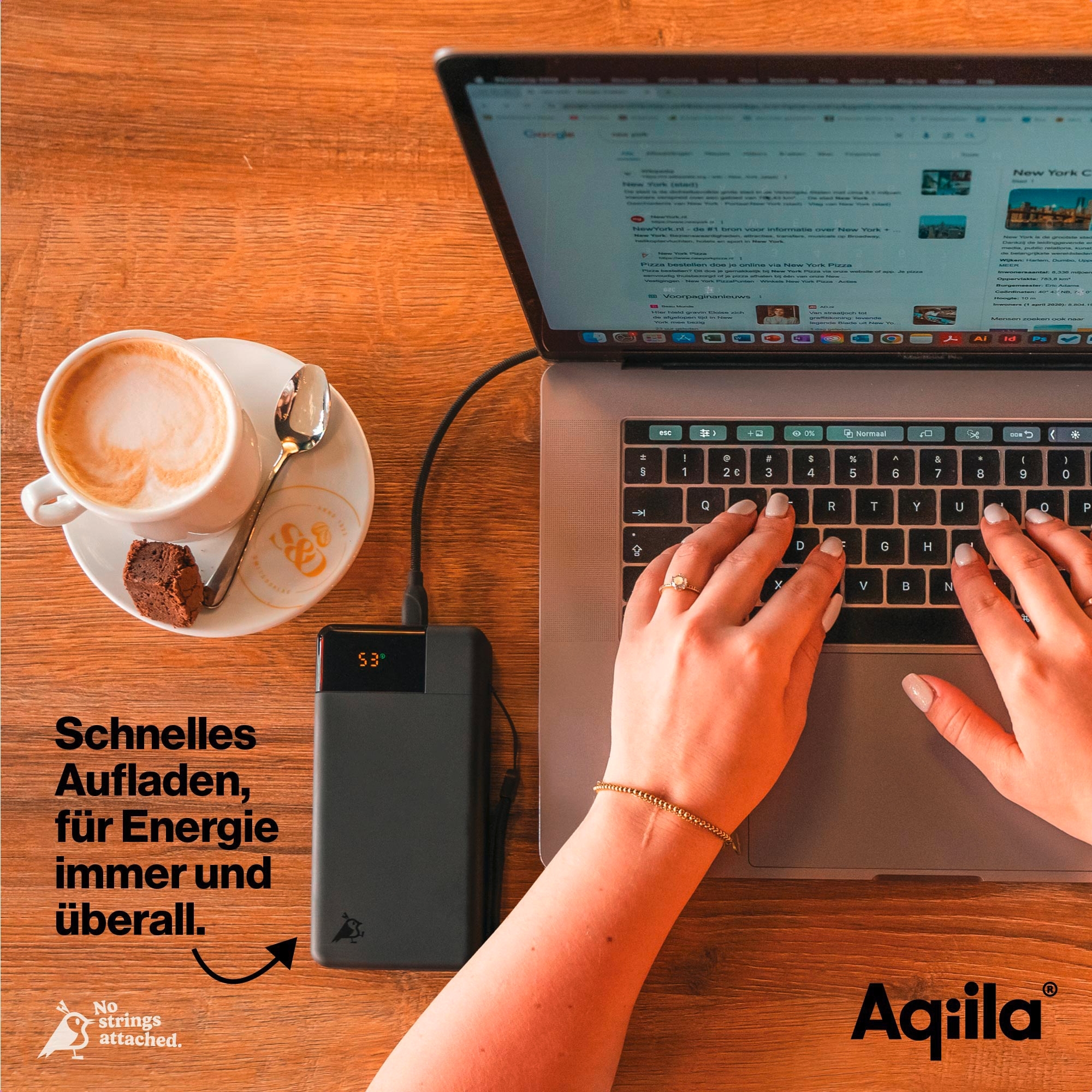 Aqiila Powerbird Powerbank 65 W 20000 mAh schwarz