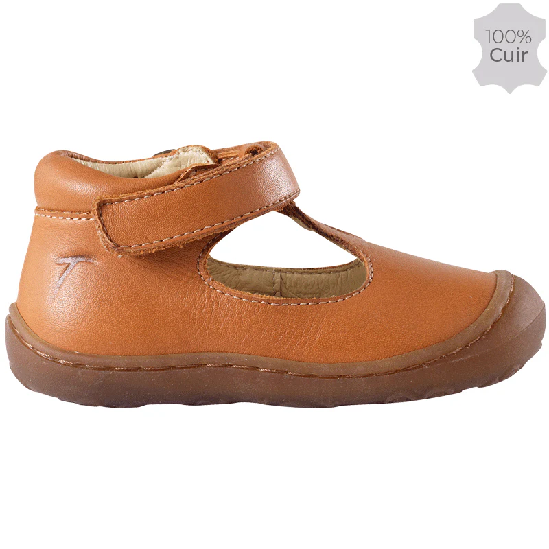 Poppy camel