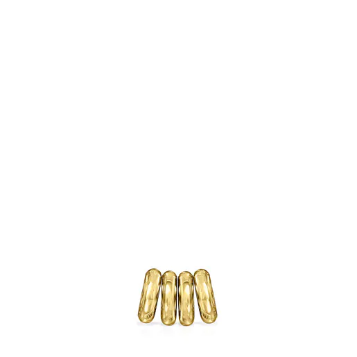 Pacote de Anéis de Ouro Hold