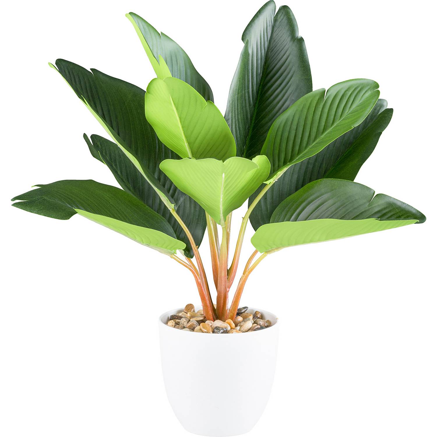 Kunstpflanze Strelitzia