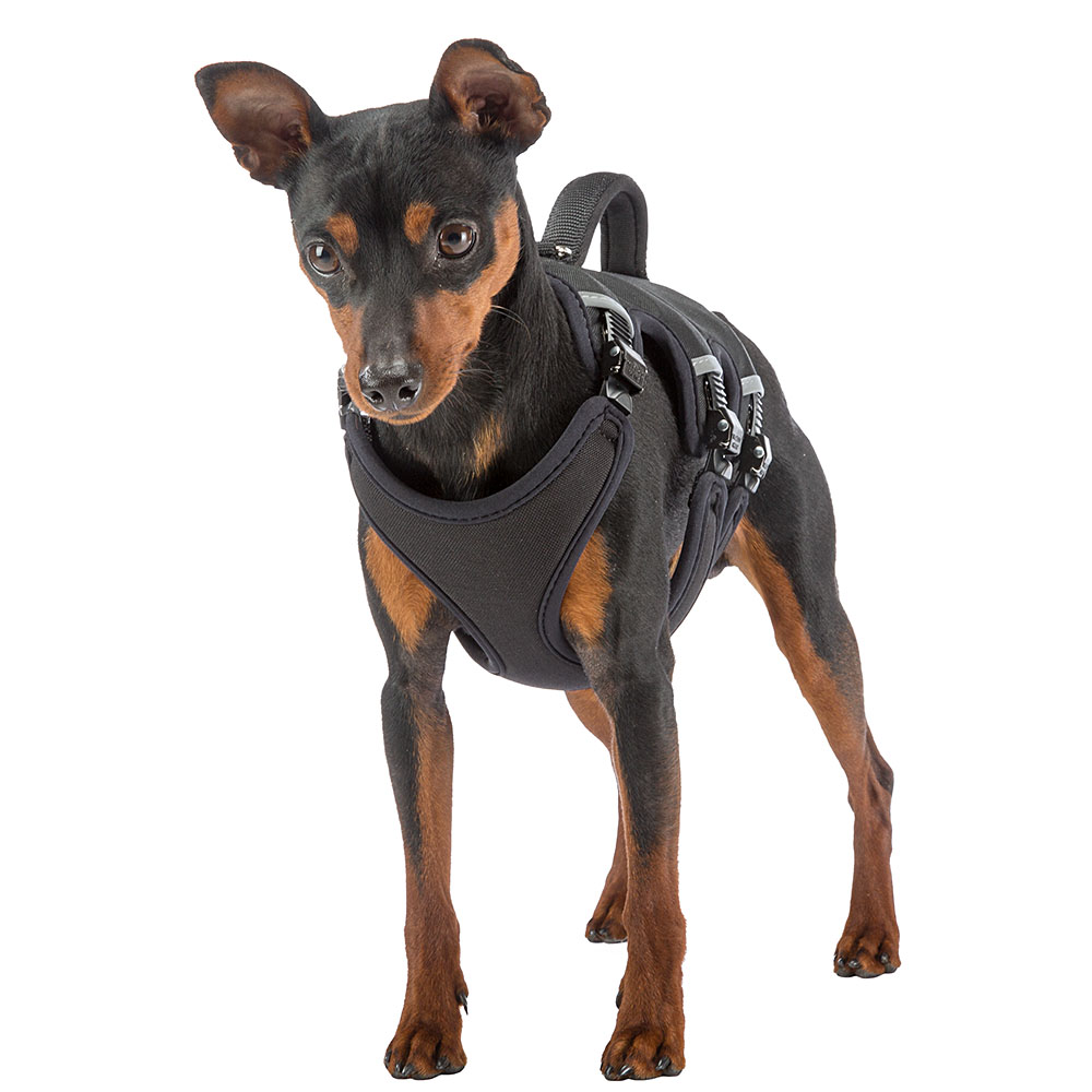 Ferplast harnais petit chien ergotrekking small, anti-évasion, anti-panique, harnais chien, lévrier, réfléchissant, 6 fermetures,