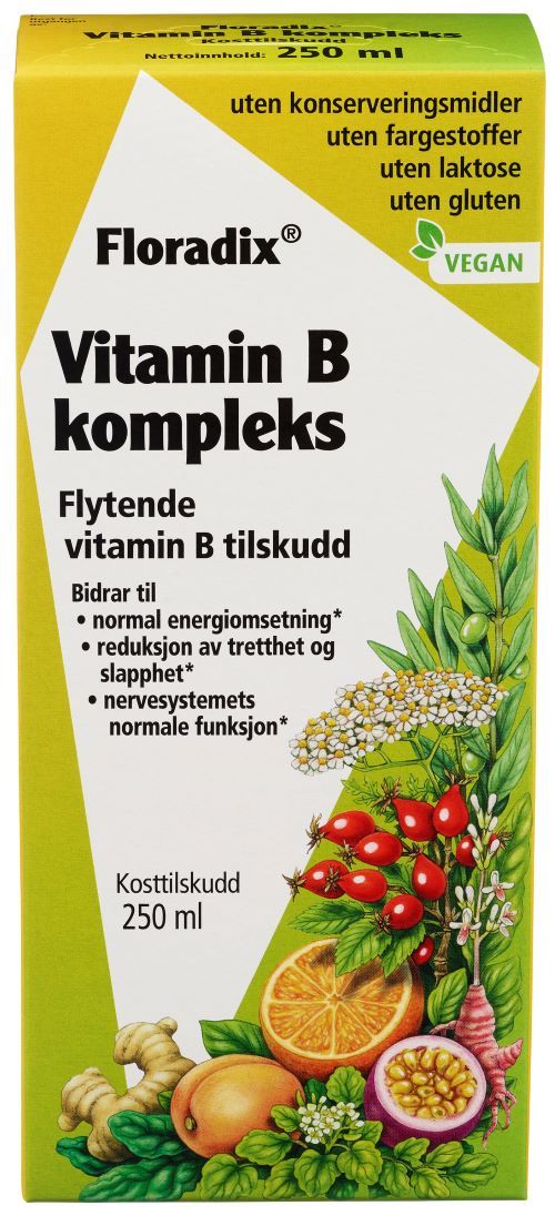 Floradix Vitamin B kompleks