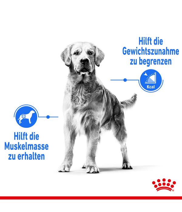 ROYAL CANIN® Trockenfutter für Hunde Light