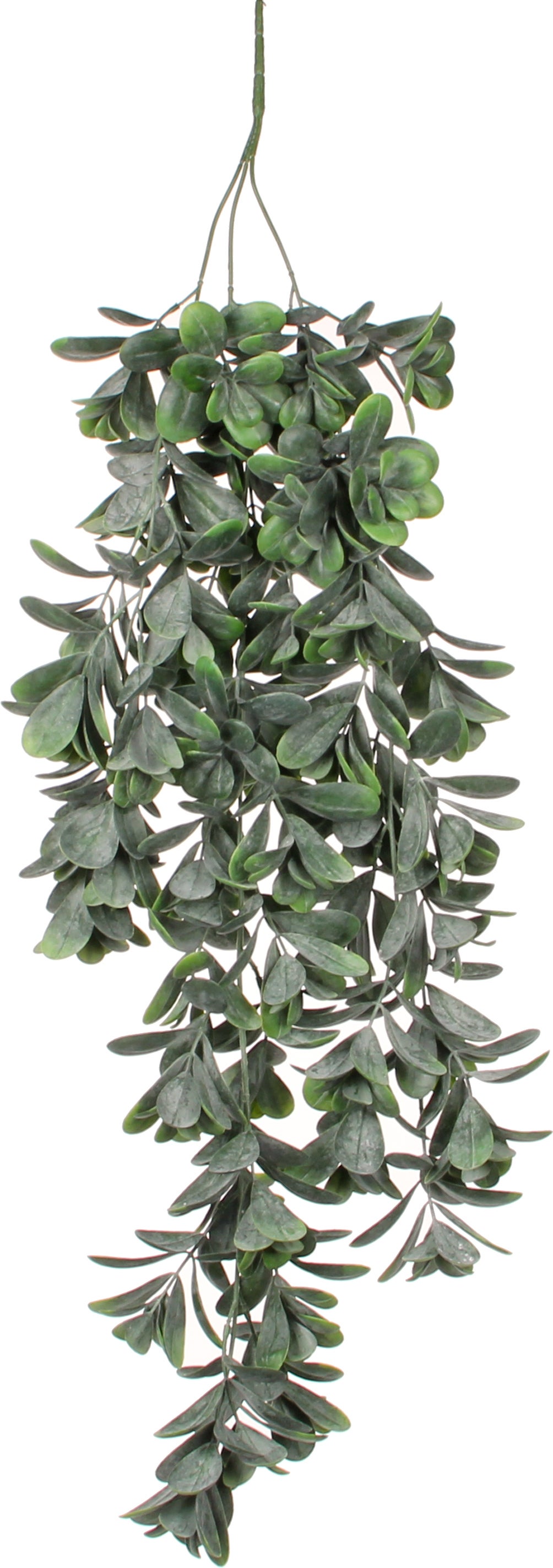 Mica Decorations kunsthangplant Crassula 79 cm