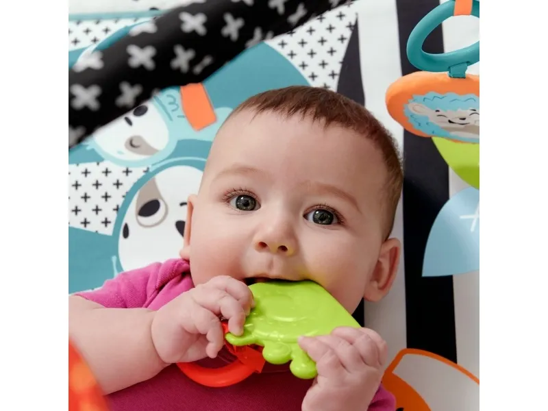 Fisher Price 3-in-1 Music Glow & Grow Gym