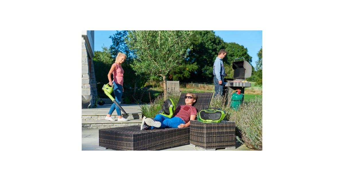 RyobiR18RH-0 radio  (Groen/zwart)