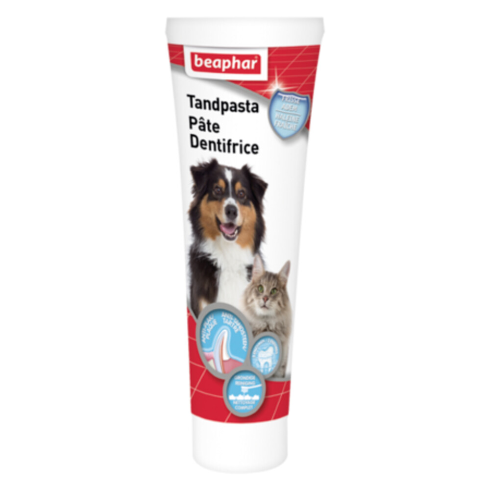 Beaphar Tandpasta Hond & Kat100 gr