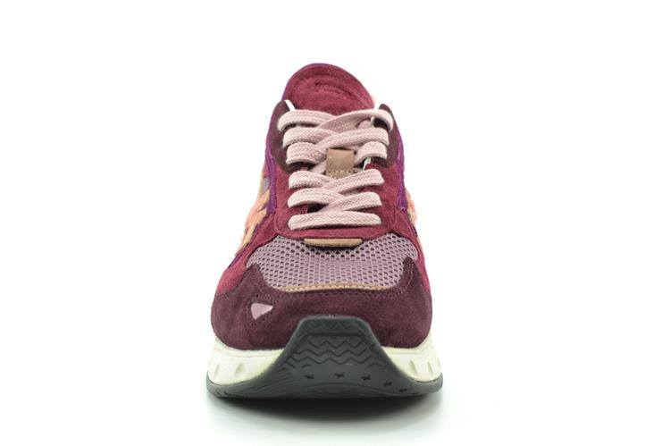 Premiata Sharky-D variante 421