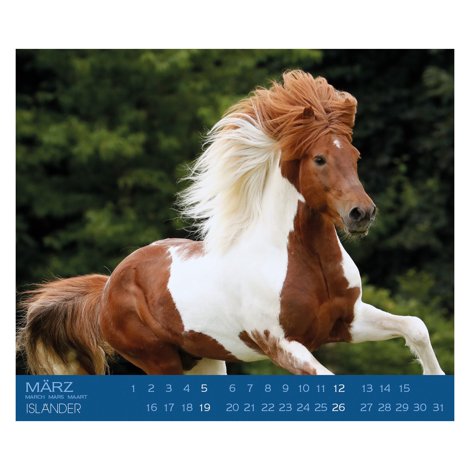 Kalender Isländer  - 2025
