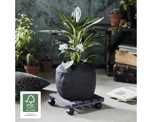 Wagner houten plantenwagen, 29 x 29 cm, antraciet
