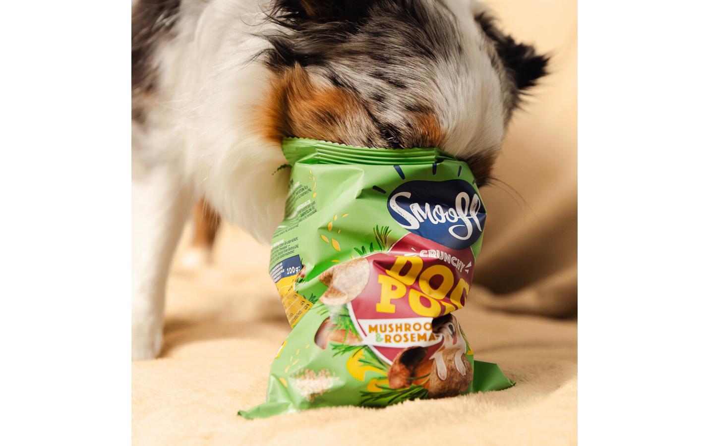 Leckerli Dog-Pops Pilze und Rosmarin 24 gKöstlicher Kauspass mit natürlichen Zutaten