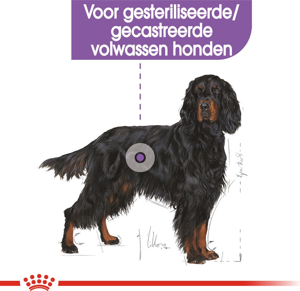 Royal Canin hondenvoer Sterilised Maxi 3 kg