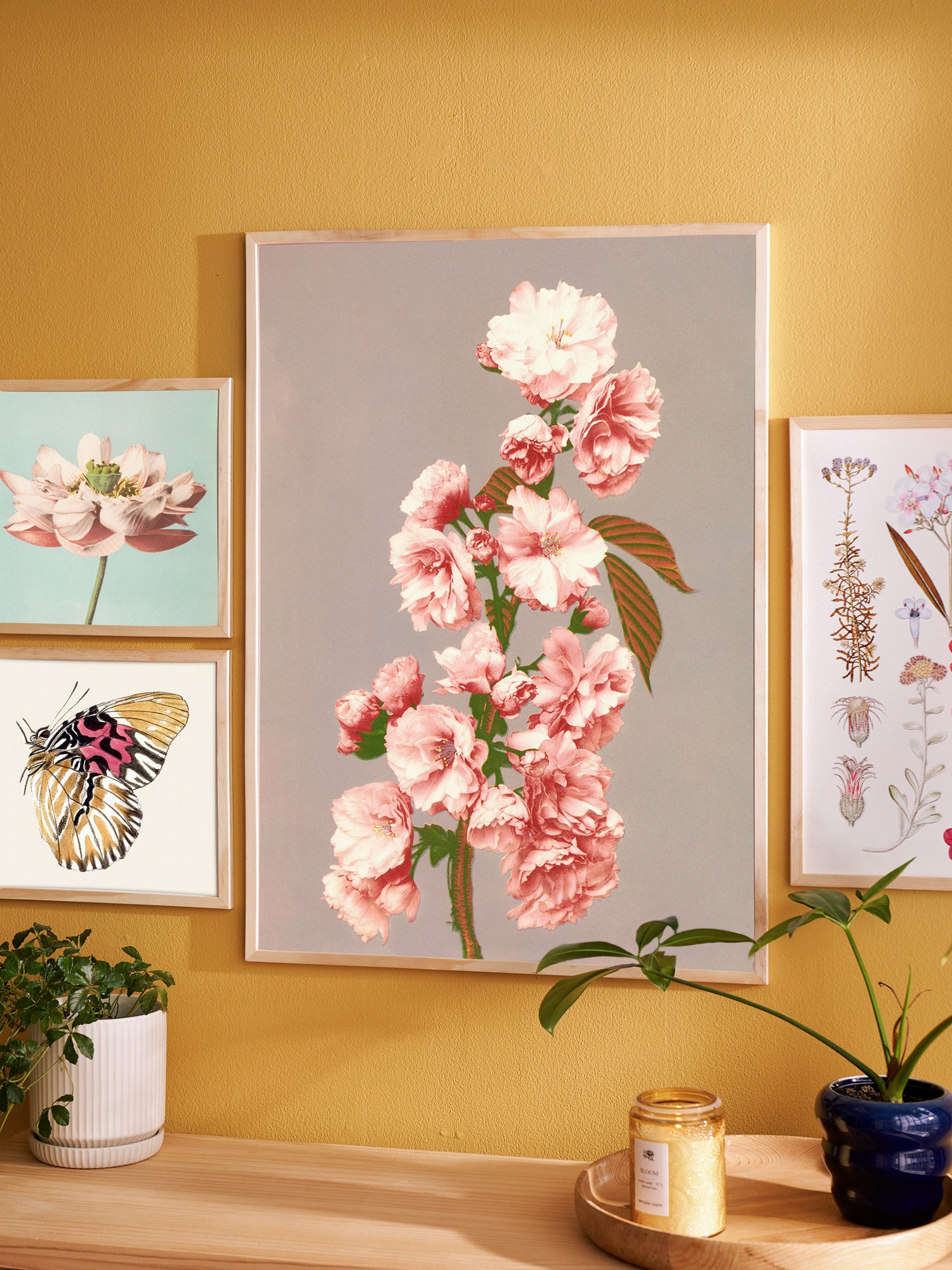 Plakat 50 x 70 | Papir. | Multi | The Dybdahl Co.