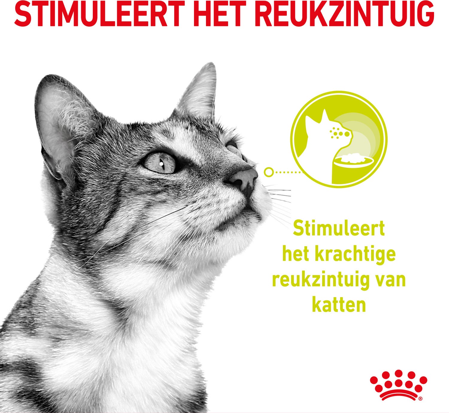 Royal Canin kattenvoer in saus Sensory Mix 85 g 12 stuks