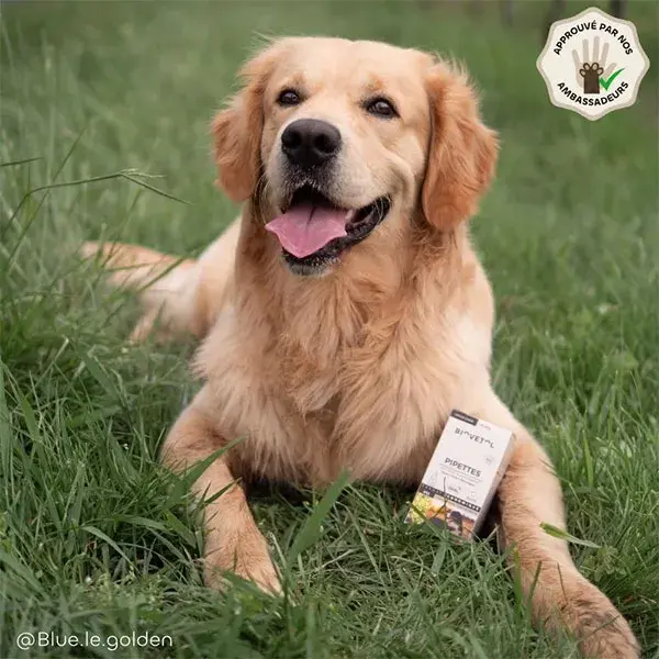 Biovetol - Antiparasitário - Pipetas Orgânicas para Cães de Grande Porte - 5ml (x12)