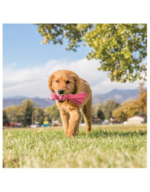 Kong Wubba Puppy - Hondenspeelgoed