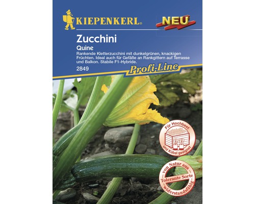 Courgette 'Quine' Kiepenkerl Groentezaden