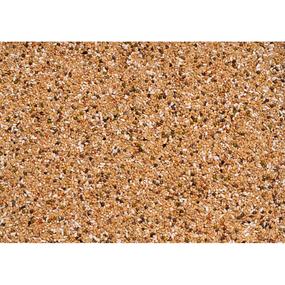 Beyers Premium Verkerk Light20 kg