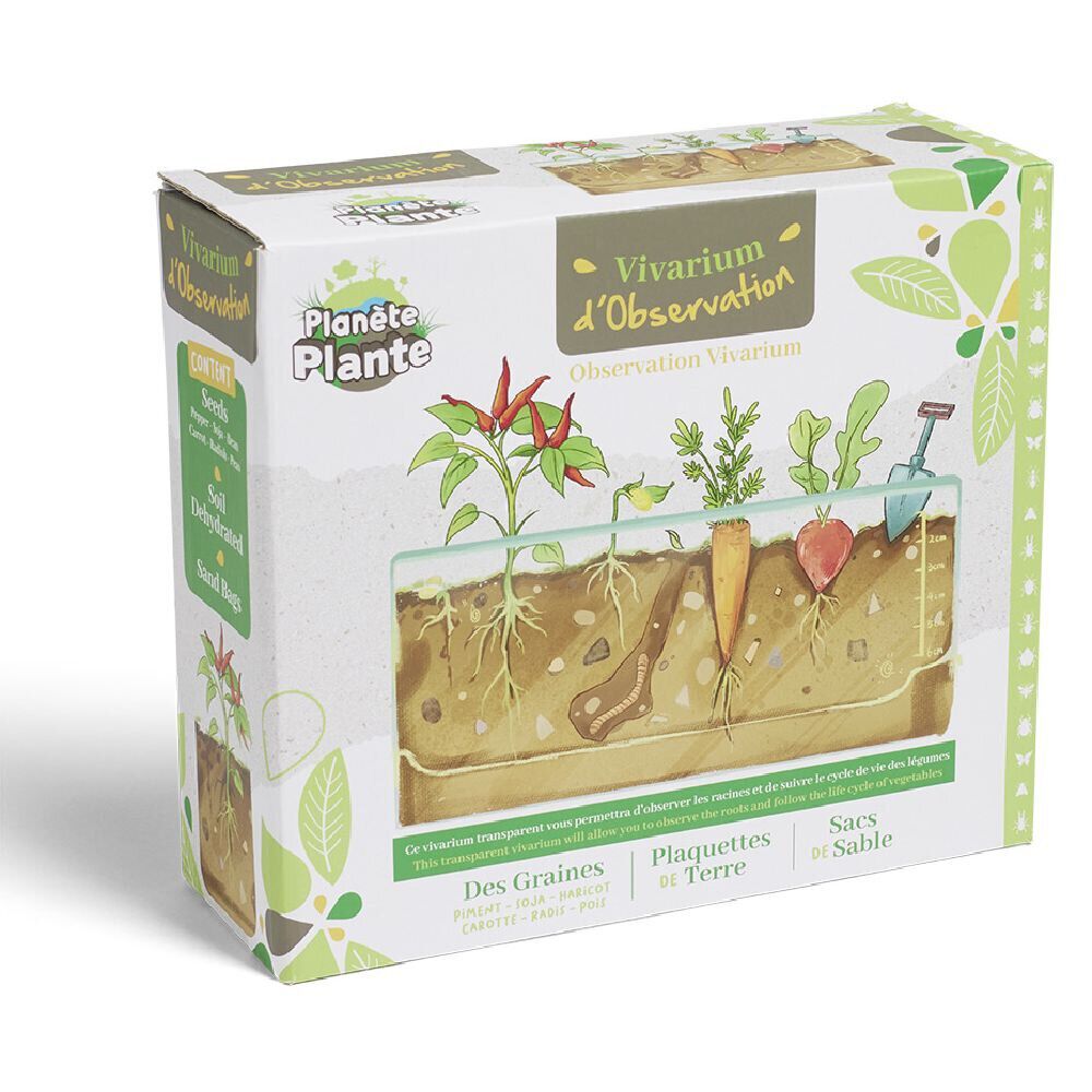 Vivarium d'observation racines de légumes