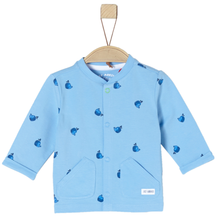 s.Oliver Langarmshirt light blue aop
