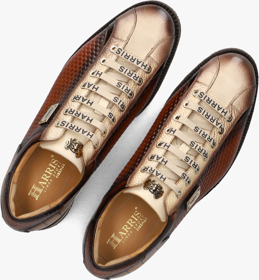 beige harris lage sneakers 0818
