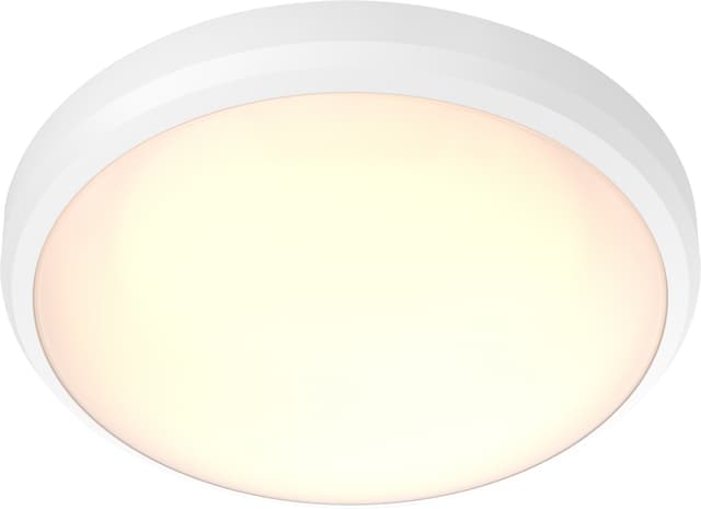 Philips Doris loftslampe 6W