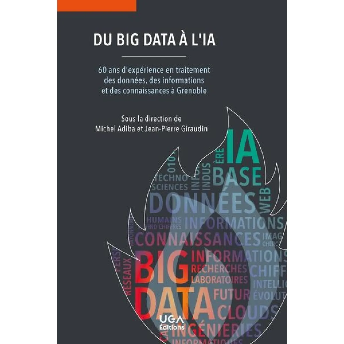 Du big data à l'IA : 60 ans d'expérience en traitement des données, des informations et des connaissances à Grenoble