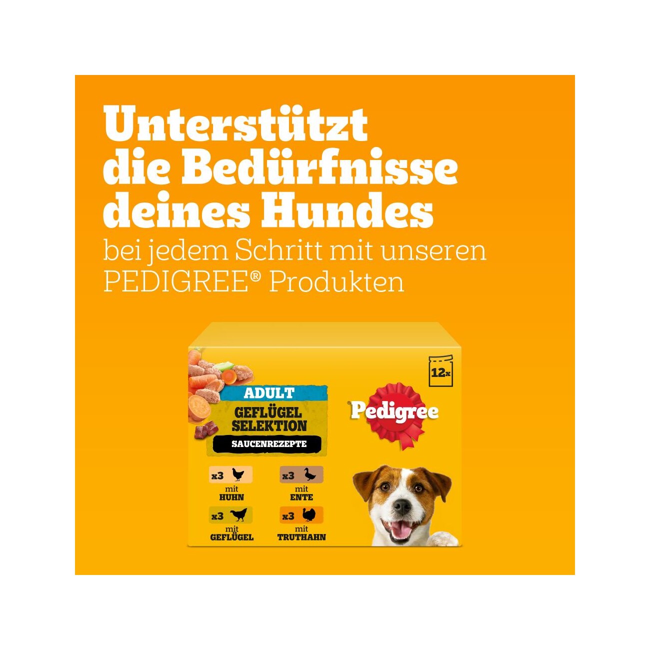 Pedigree Nassfutter Hund Adult, Multipack, Geflügel-Selektion, in Sauce 12x100 g