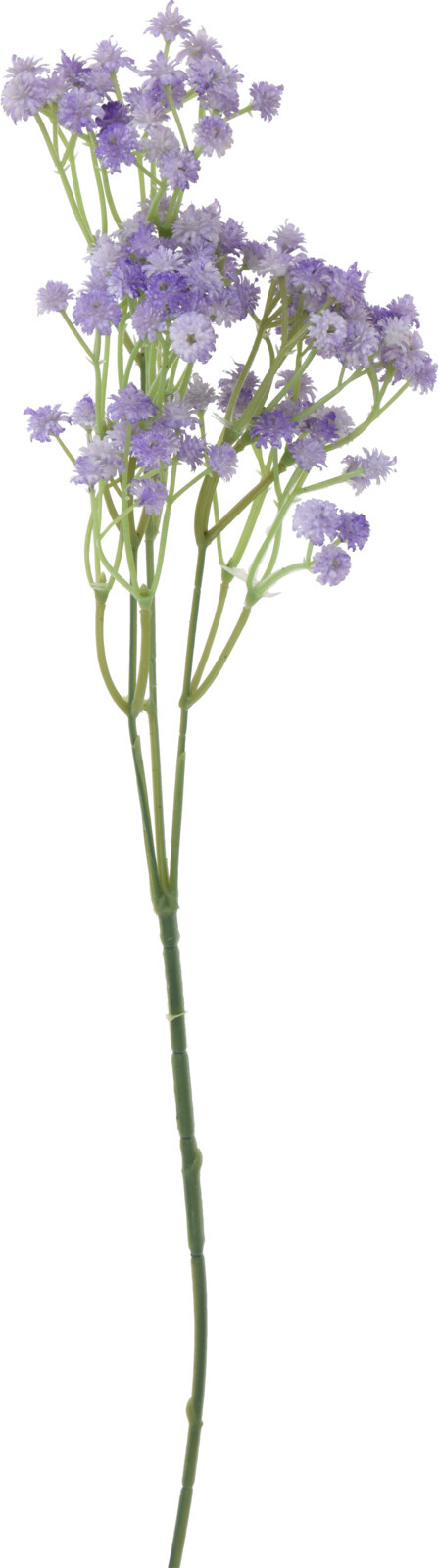 Kunstblume Zweig